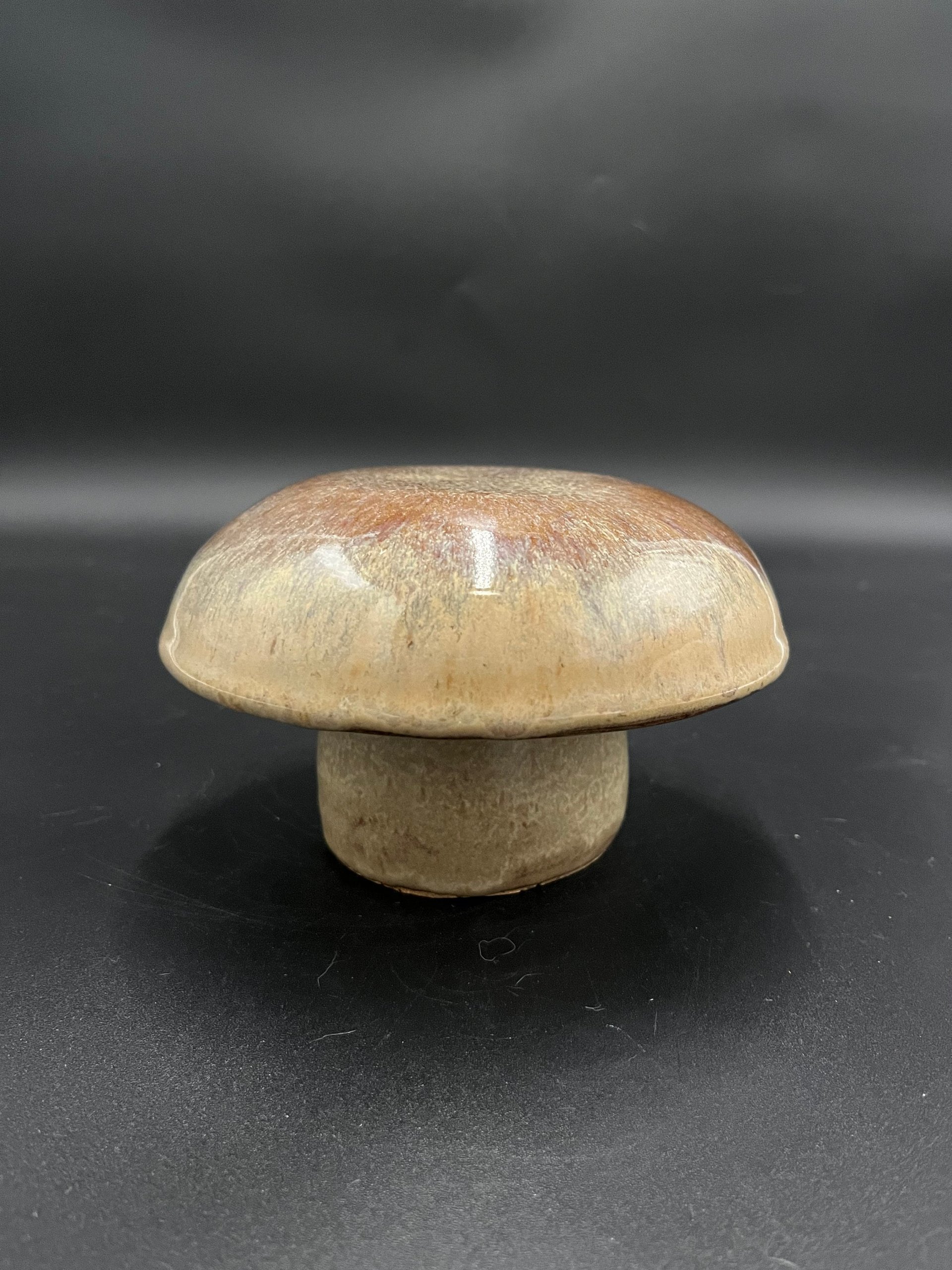 Handmade Ceramic Mushroom